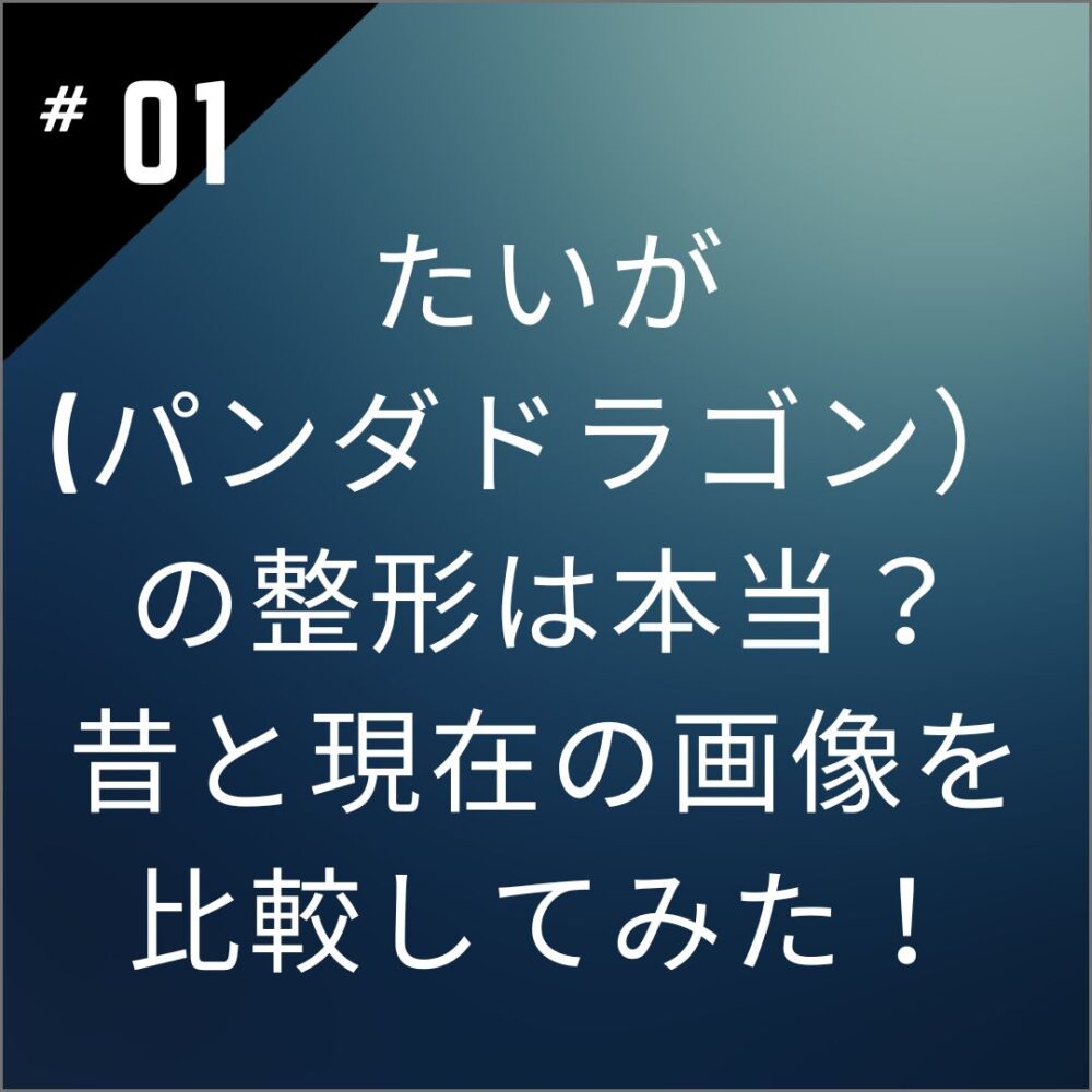 たいが(パンダドラゴン）の整形は本当？昔と現在の画像を比較してみた！