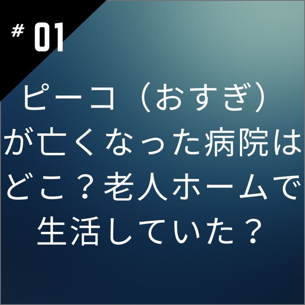 ピーコ（おすぎ）が亡くなった病院はどこ？老人ホームで生活していた？